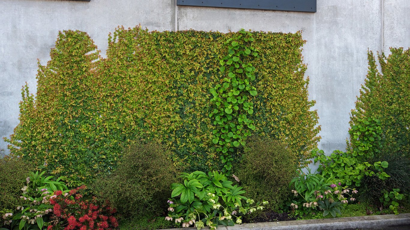 Malthouse Lane City Apartment 4