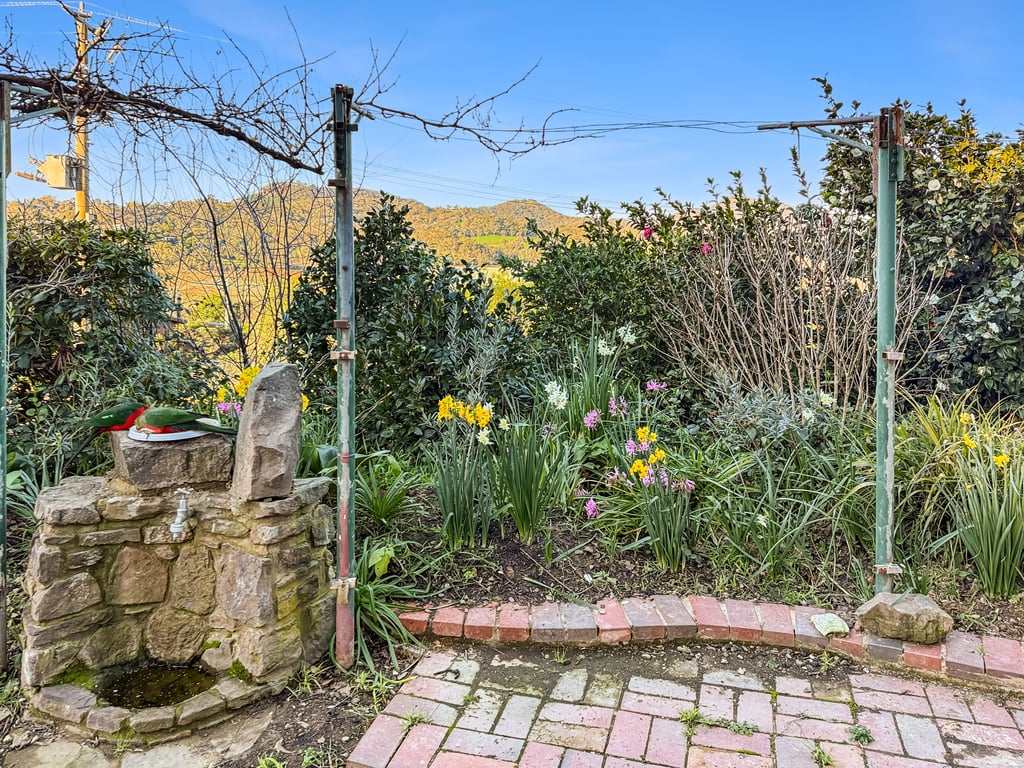 Bella Vista