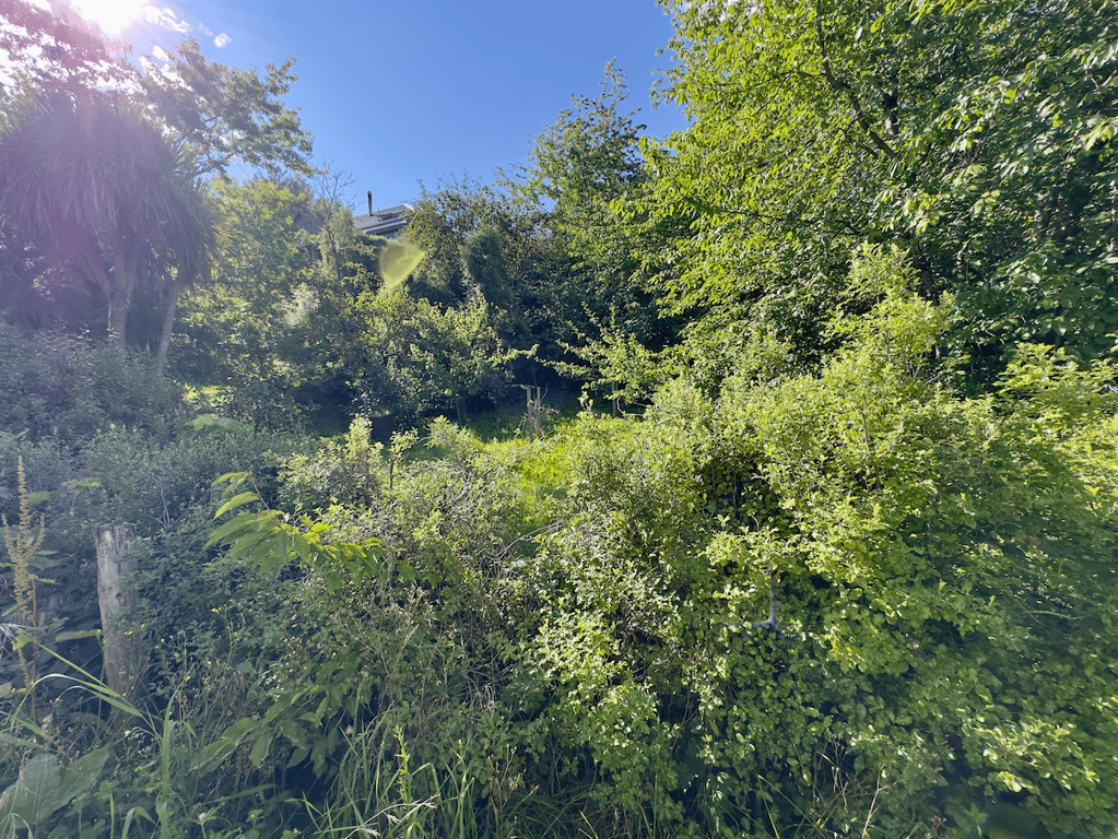 Woodland Cottage (Pet Friendly)