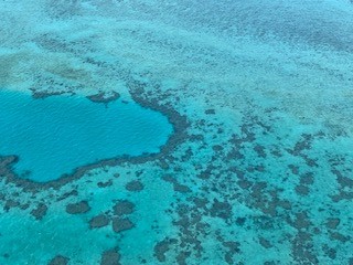 Terms and Conditions