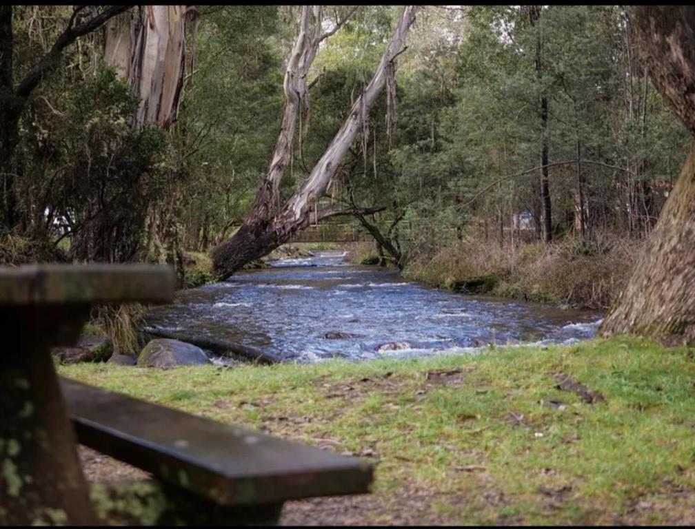 Sawmill Chalet - Located base of Mt Buller