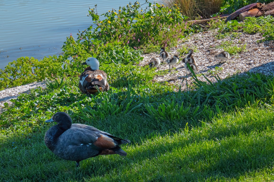 Monaco Shores Apartment