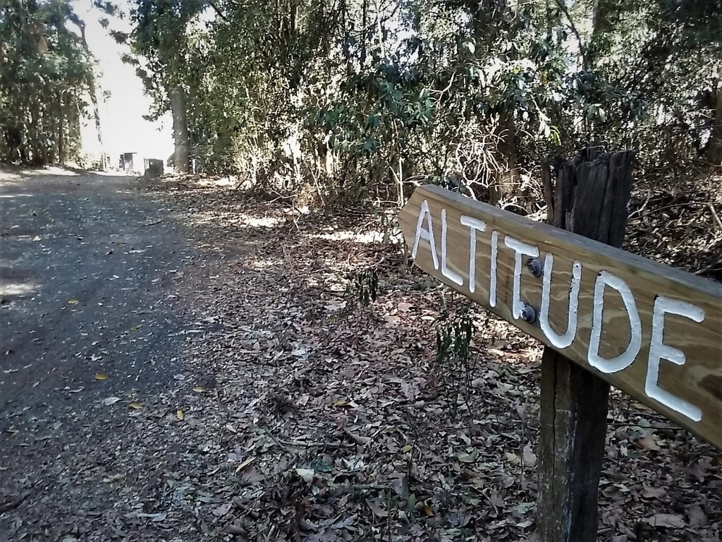 pic
