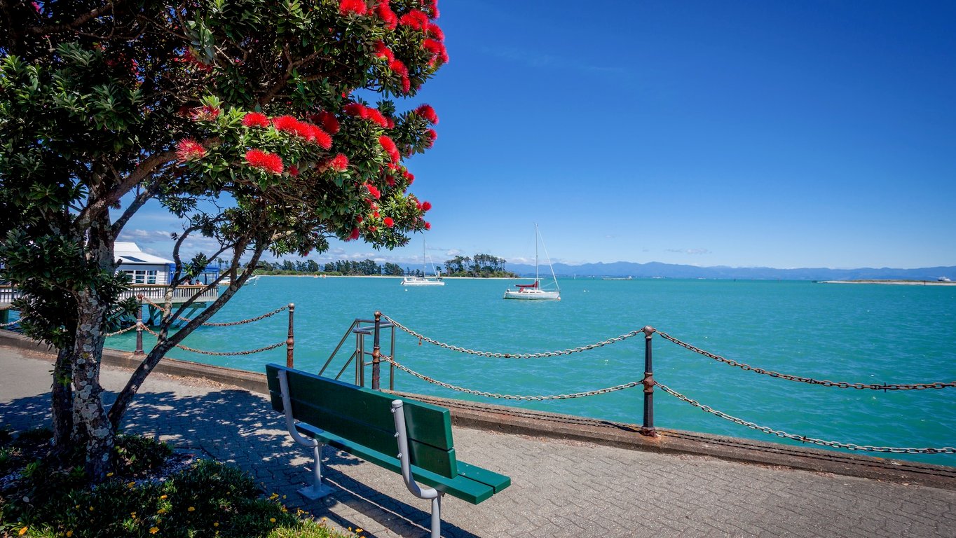 The Pilot House - Nelson - 1862