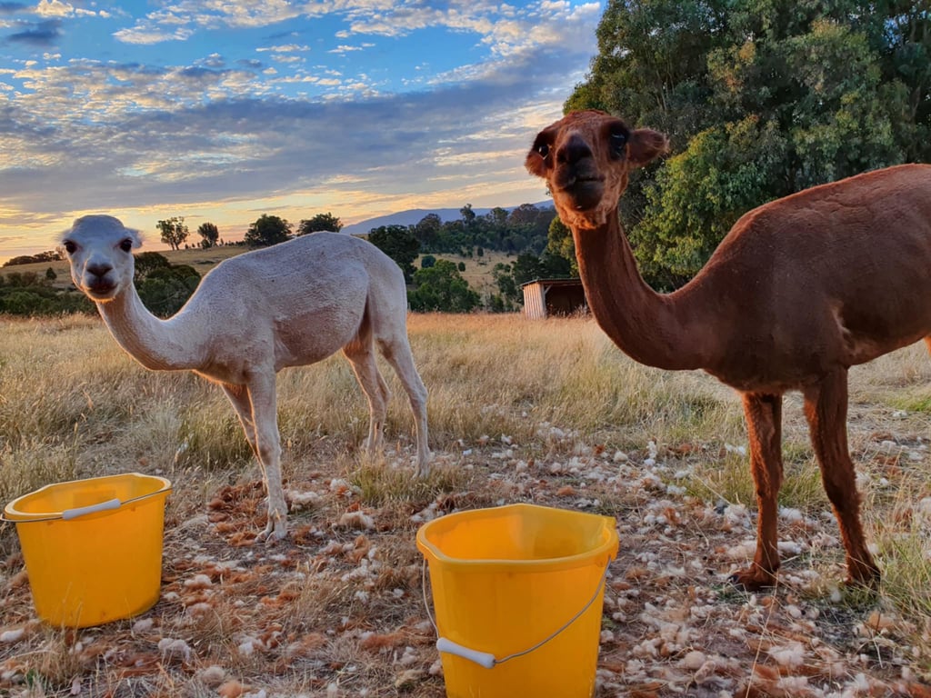 Gem View - Tiny home