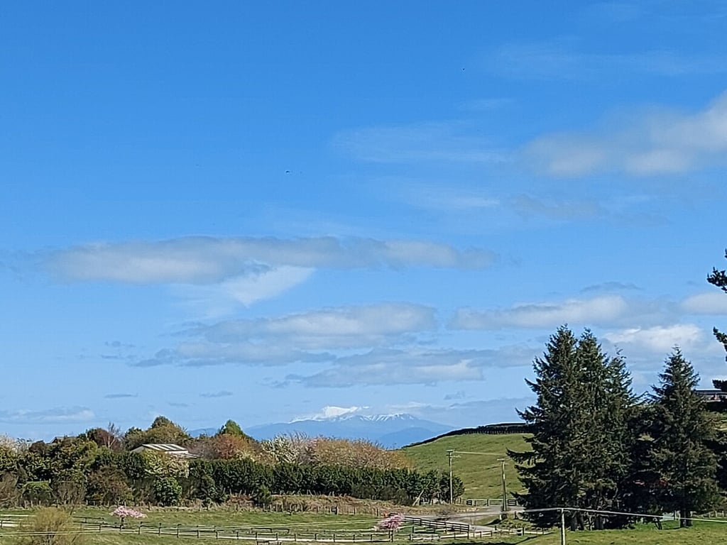 Whakaroa Retreat - Spacious Garden Getaway Near Taupo