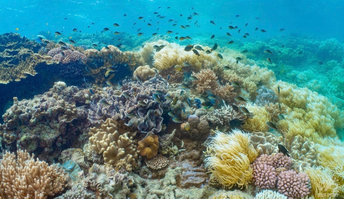 Explore Palm Cove and the Best of the Surrounding Region