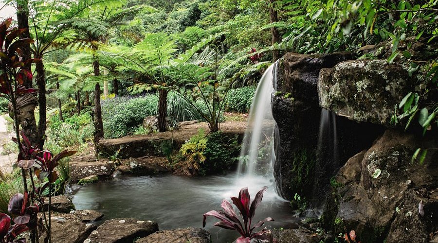Maleny Botanic Gardens & Bird World