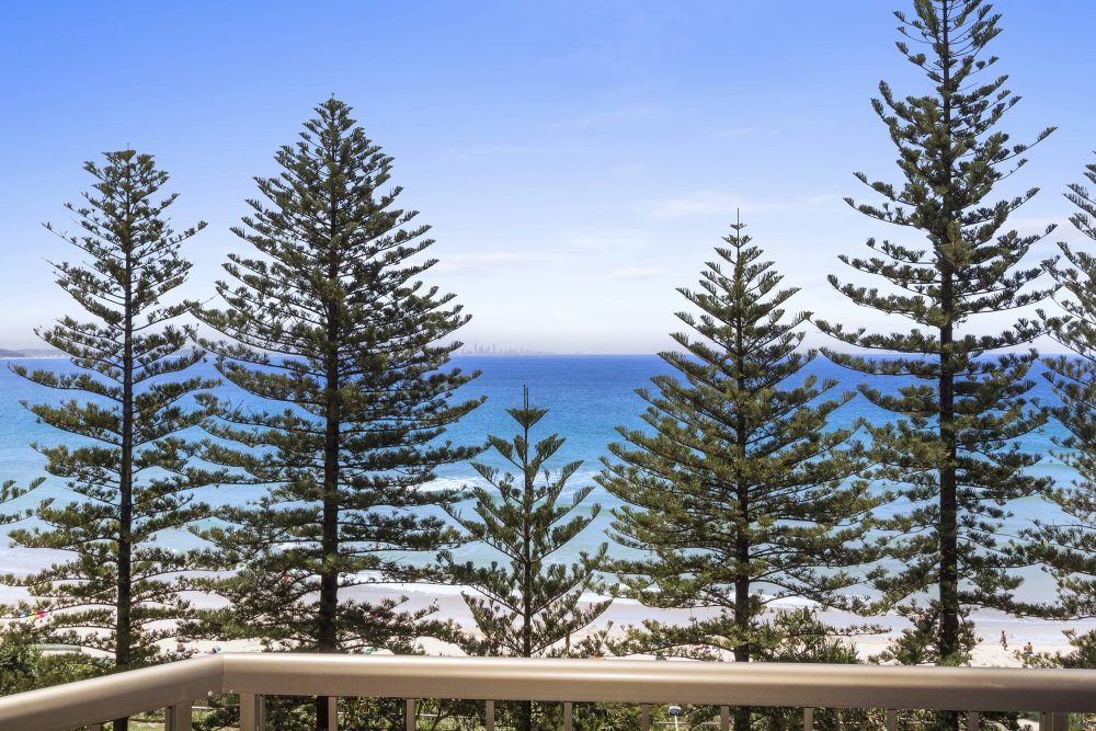 2 Bedroom Superior Apartment