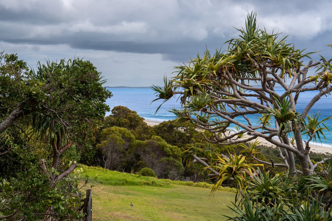Premium Three Bedroom Headland Ocean View