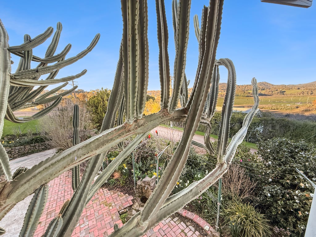 Bella Vista