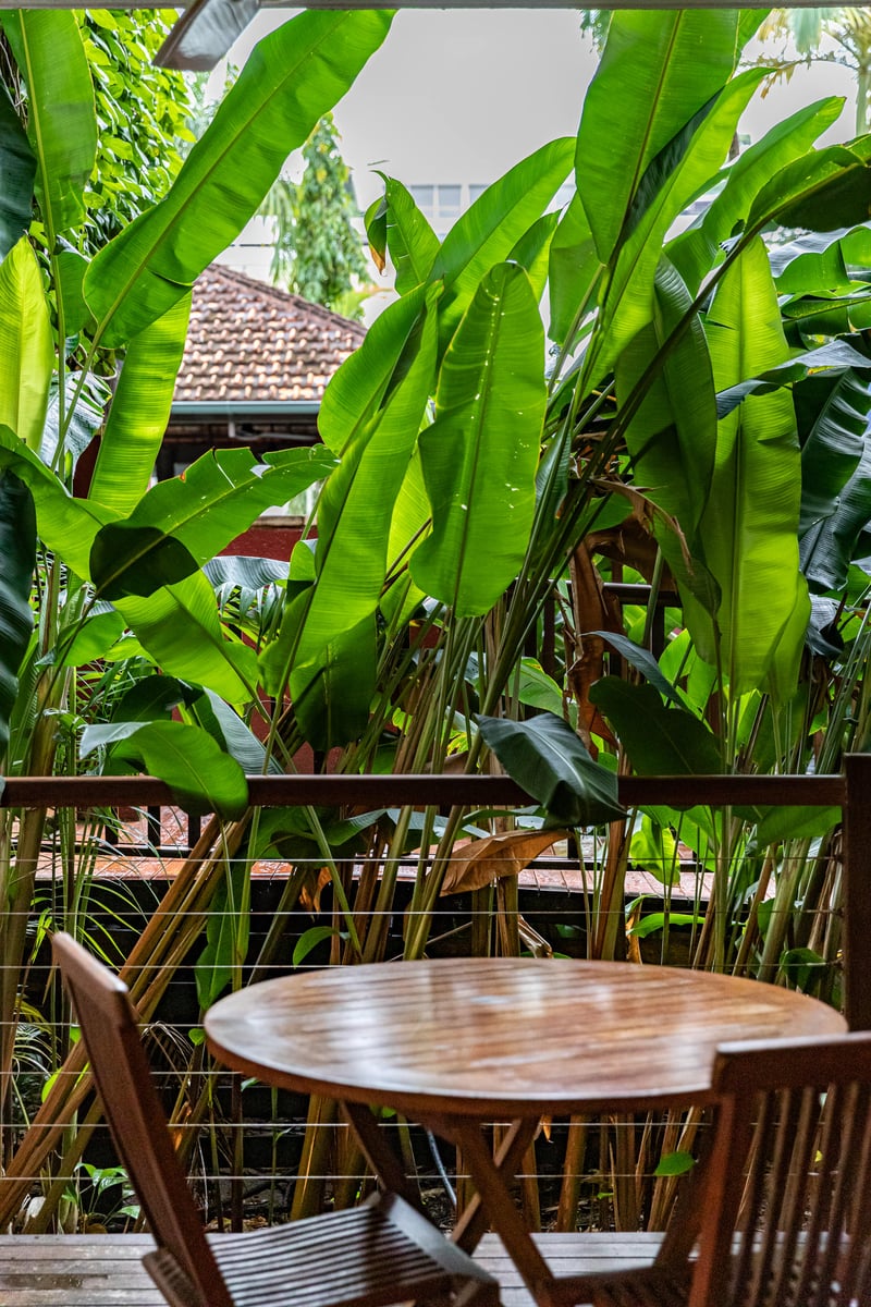 2 Bedroom Spa Apartment