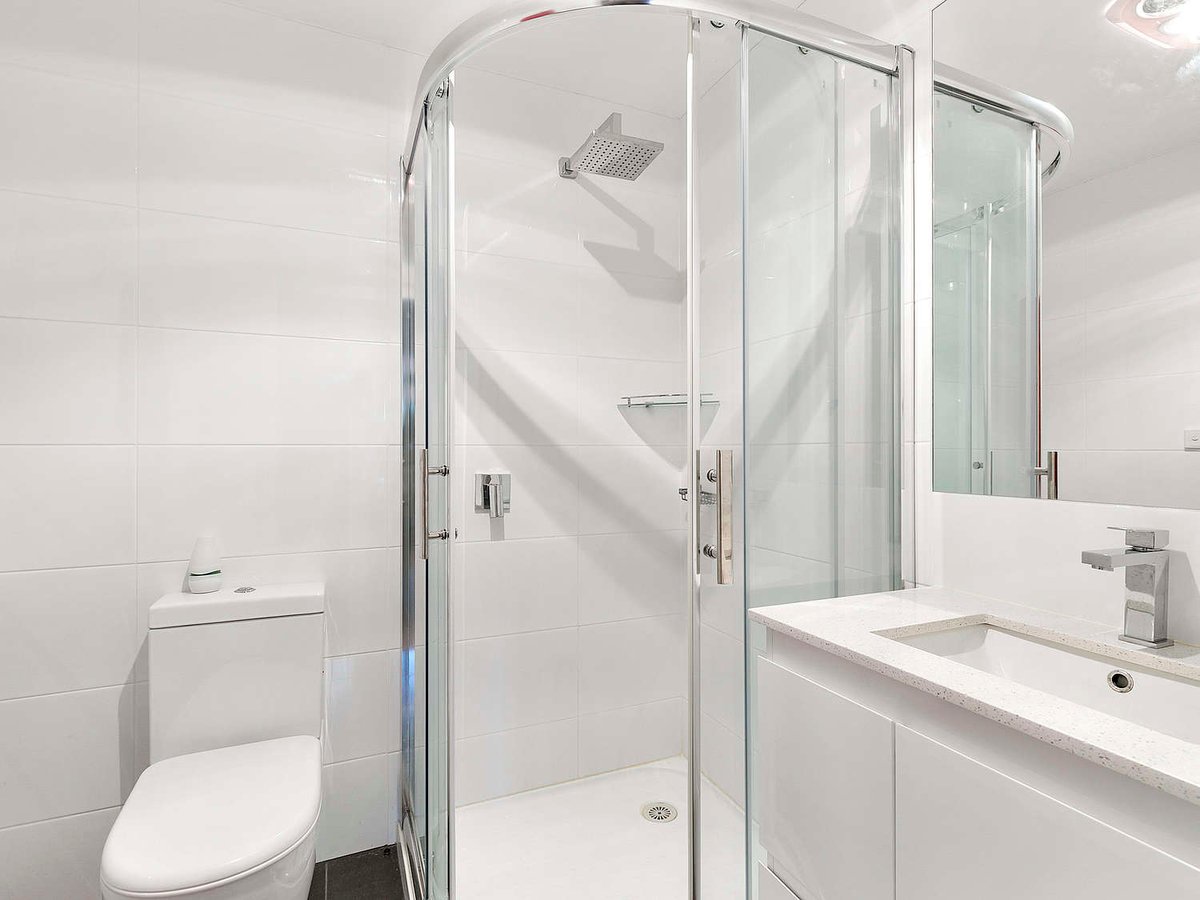 Silverleaves on the Beach