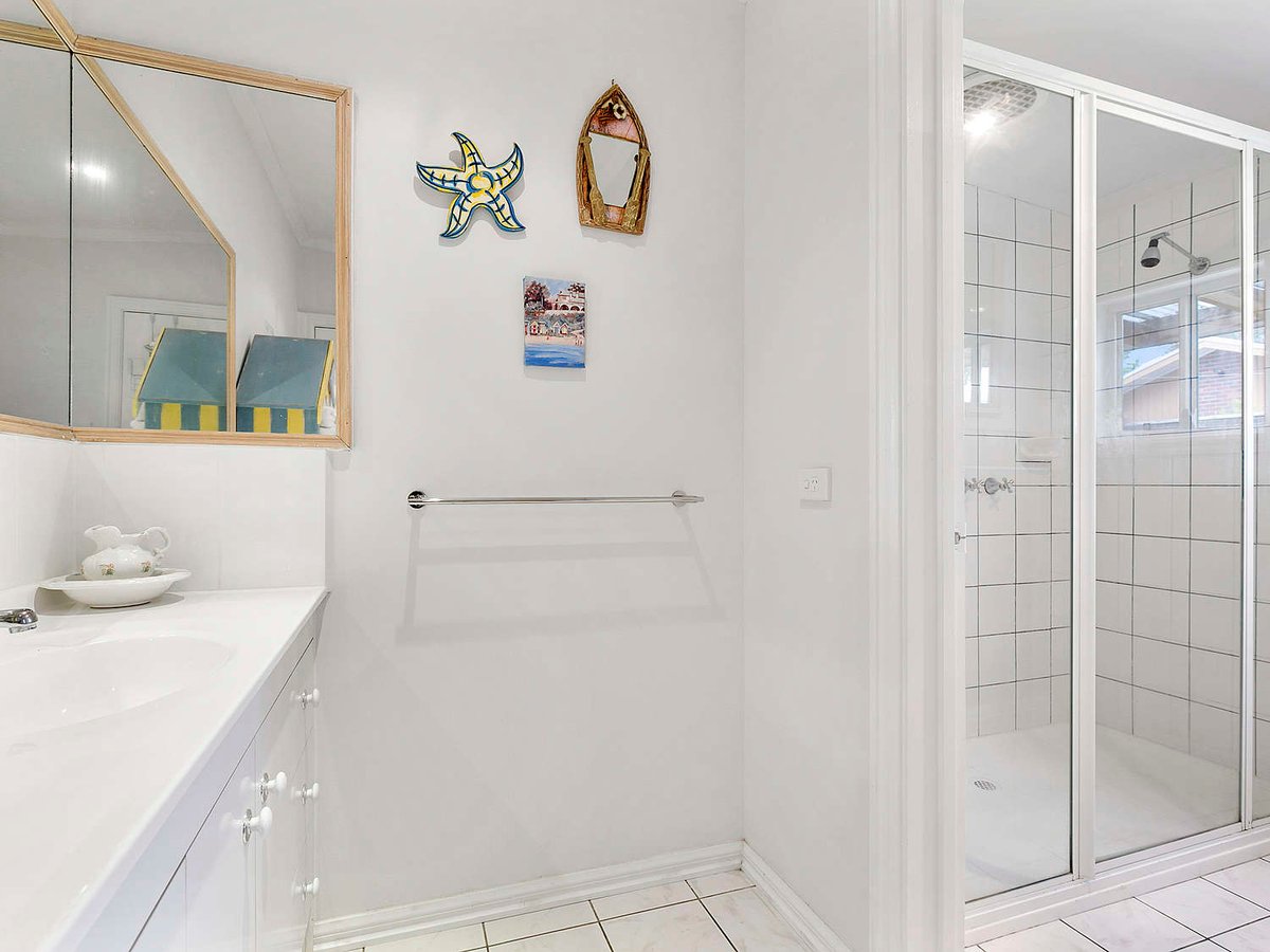 Silverleaves on the Beach