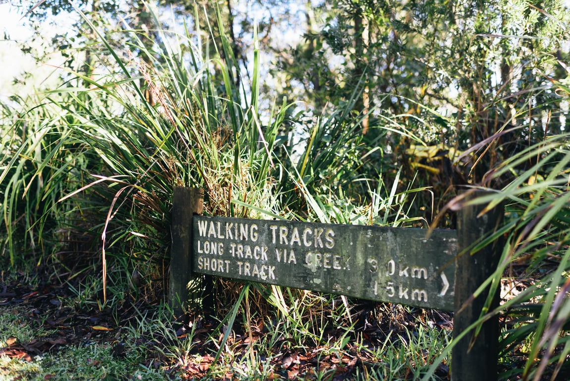 Bushwalking at Noonaweena