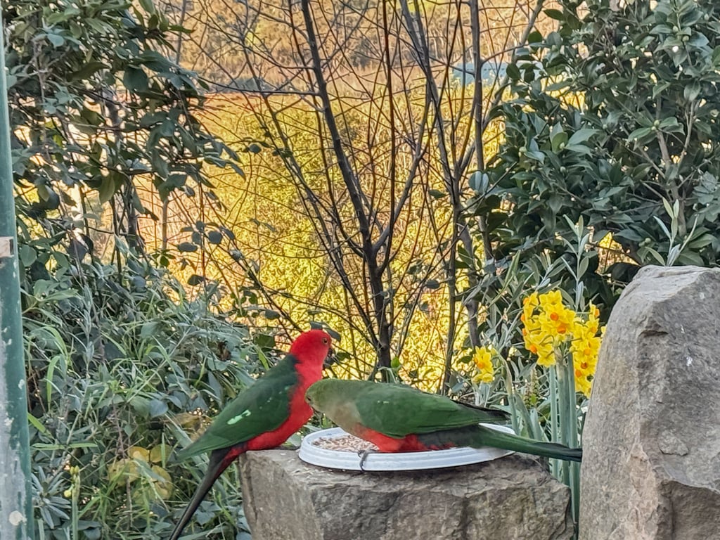 Bella Vista