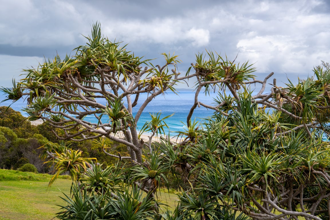 Premium Three Bedroom Headland Ocean View