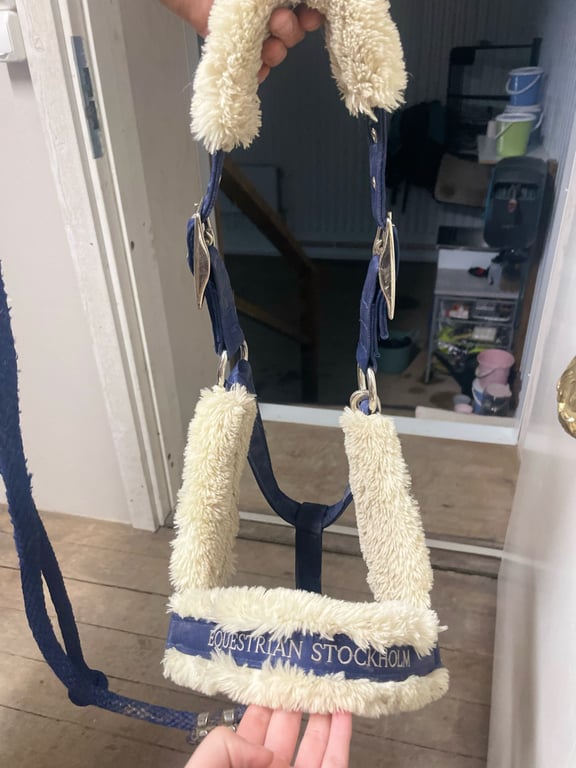 Blå grimma och grimskaft från Equestrian Stockholm