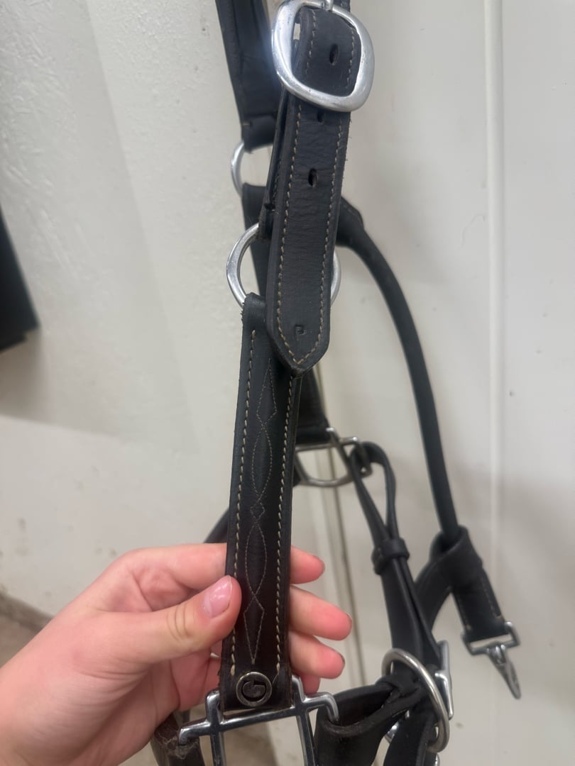 Svart läder grimma med snygga sydda detaljer - bild 3