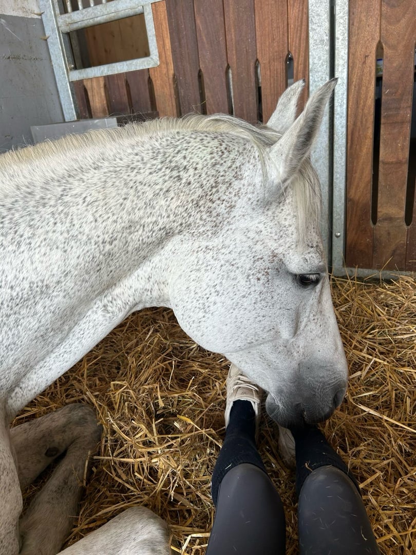 Snäll läro mästare ✨ - bild 2