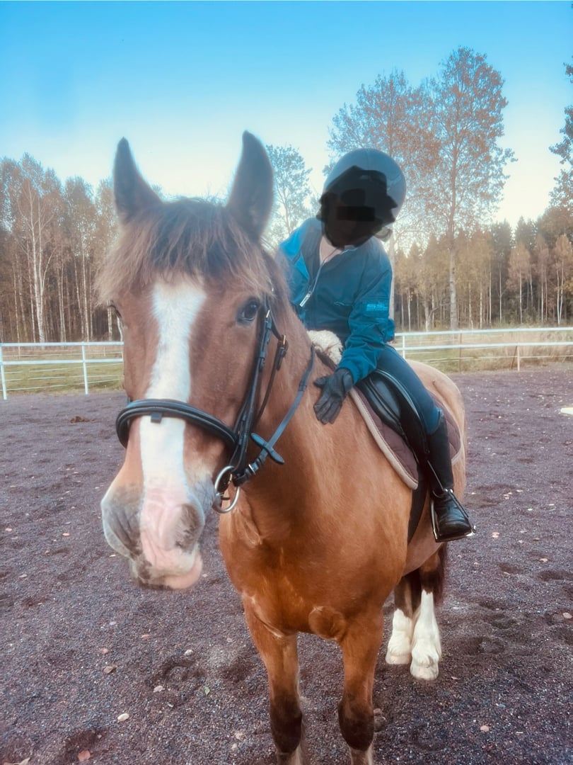 Underbare Miramiss - bild 3