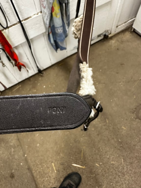 Brun förbygel, ponny - bild 2