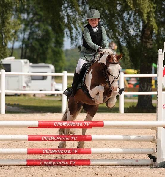 Allsidig b-ponny till rätt ryttare - bild 1