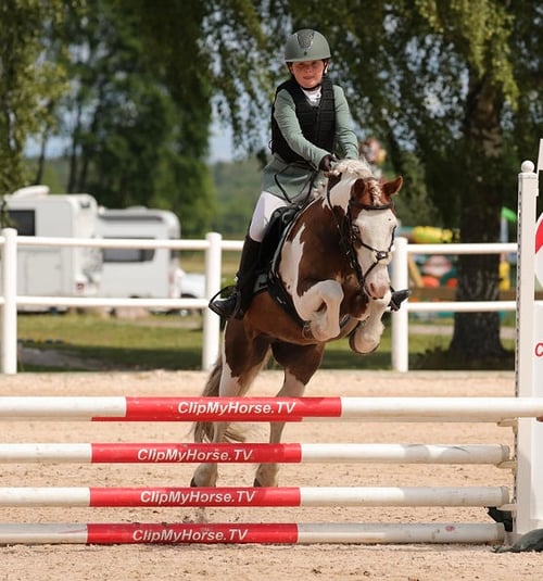 Allsidig b-ponny till rätt ryttare