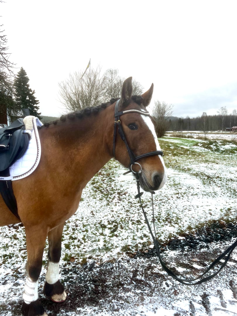 Underbare Miramiss - bild 2