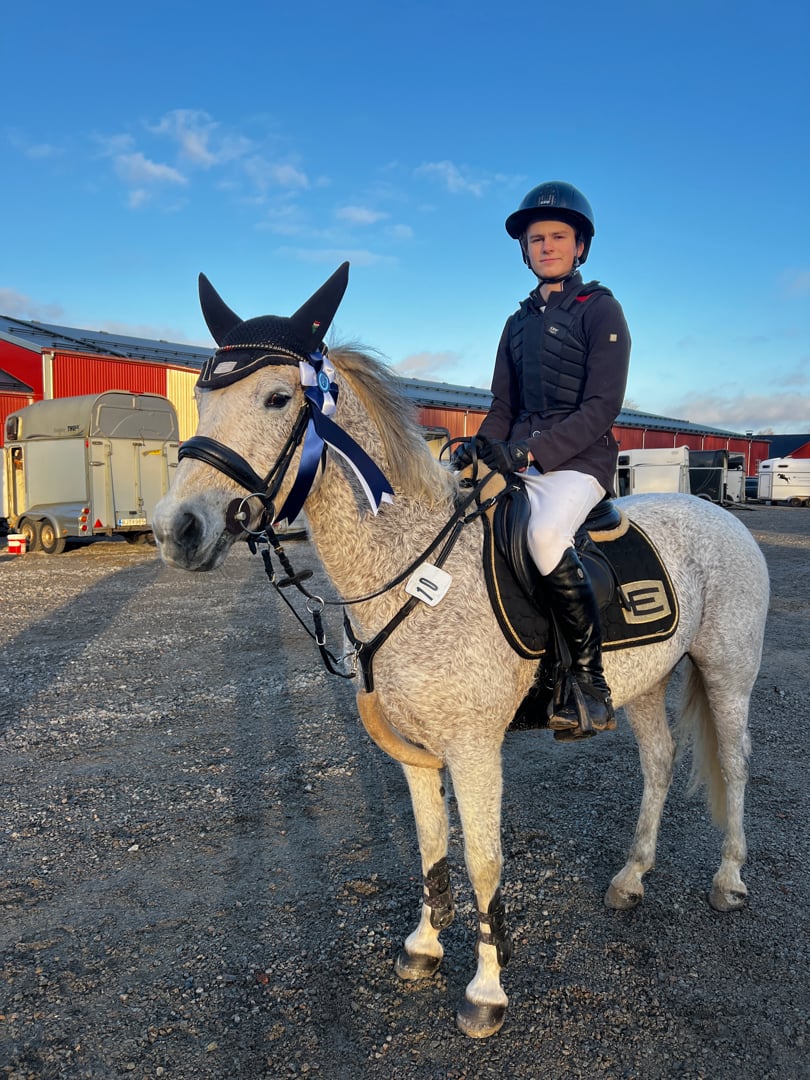 Häftig c-ponny söker ny kompis - bild 2