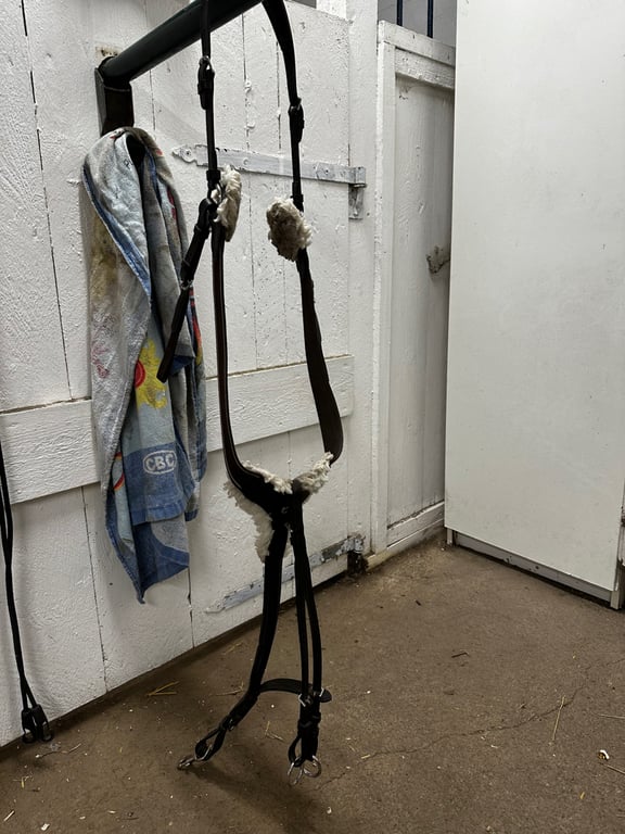 Brun förbygel, ponny - bild 1