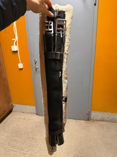 Svart dressyrgjord från Fairfield