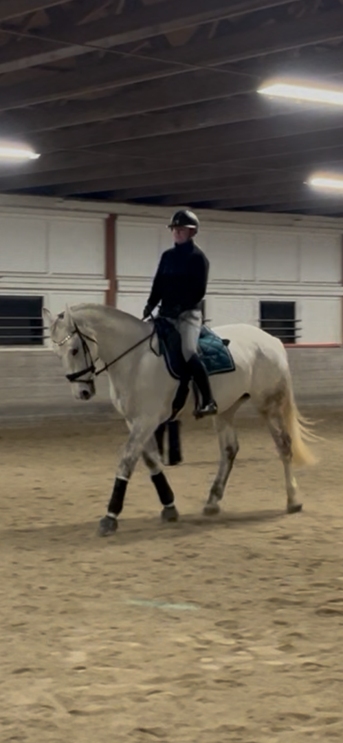 Medryttare sökes i Alvesta - bild 3