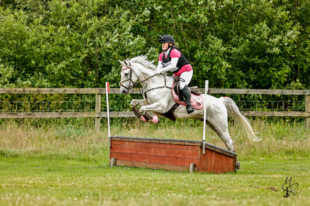 🌟Oslipad diamant för de högsta klasserna🌟 - bild 3