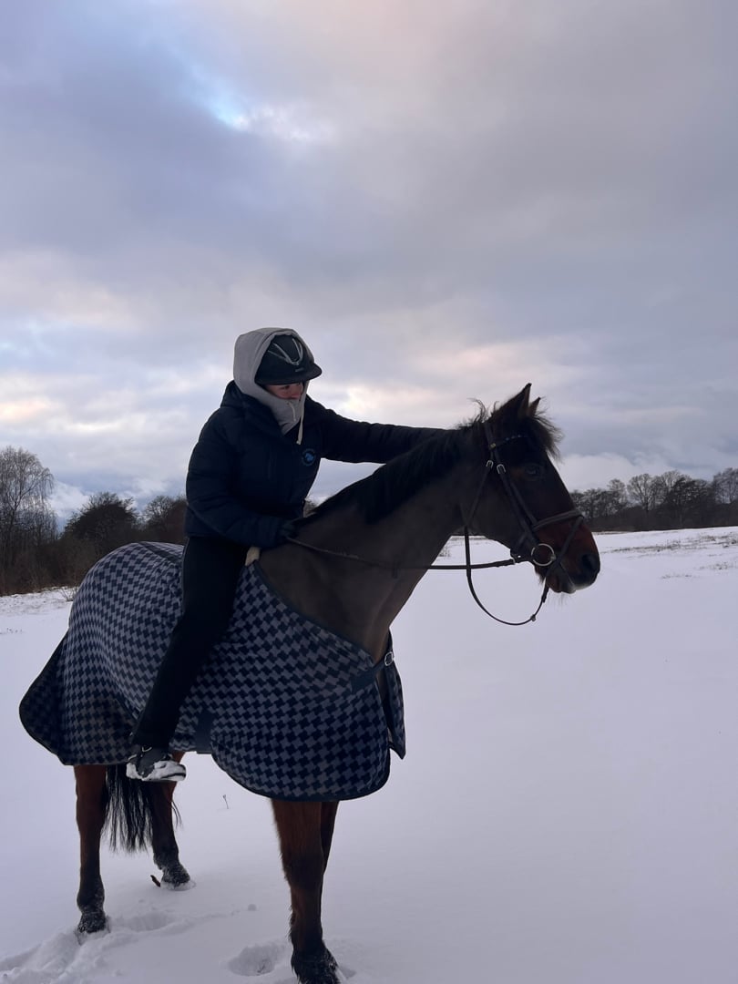 Bästa vän tillsalu - bild 2