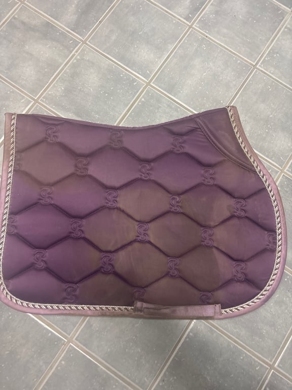 Lila schabrak - bild 2