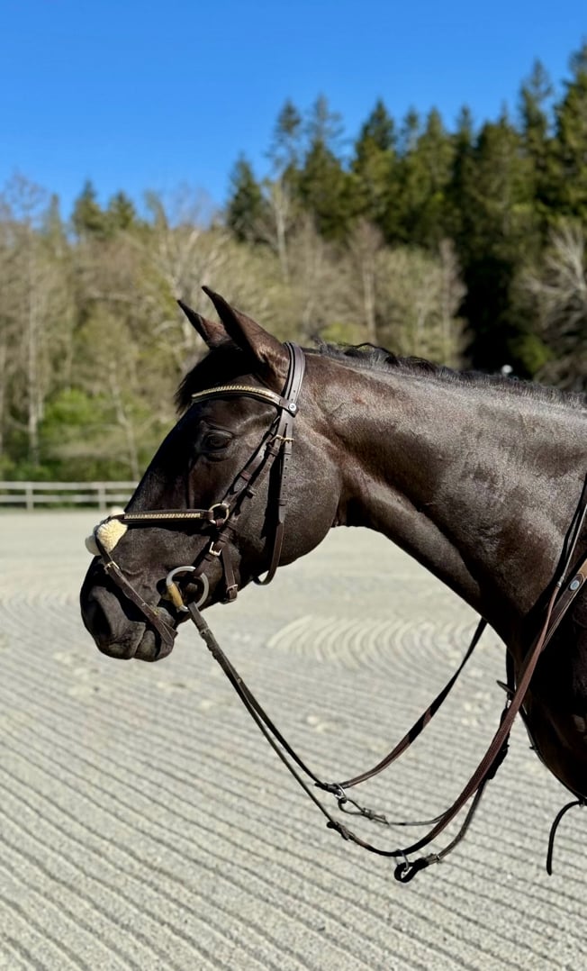 Trevlig tjej med stort hjärta & fin personlighet - bild 2