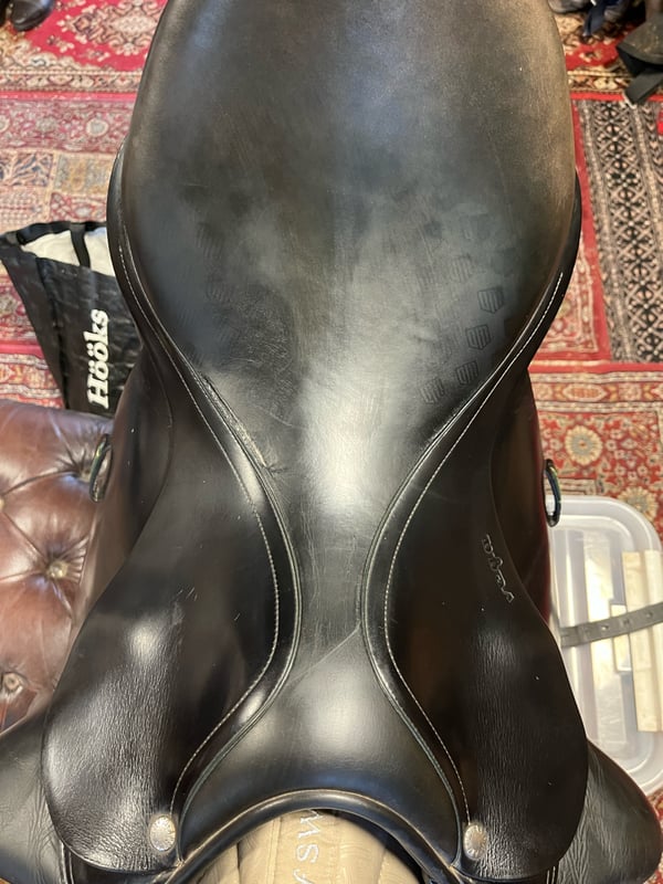 Bild 5 av Amerigo Vega dressyrsadel 
