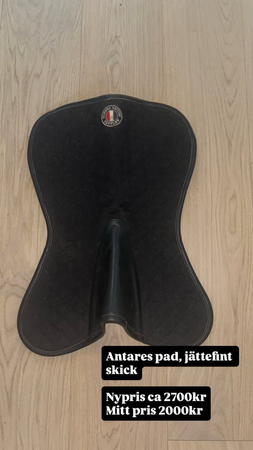 Svart sadelunderlag från Antares