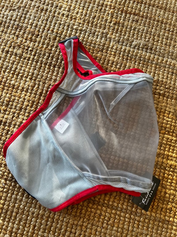 Flughuva utan öron - bild 1