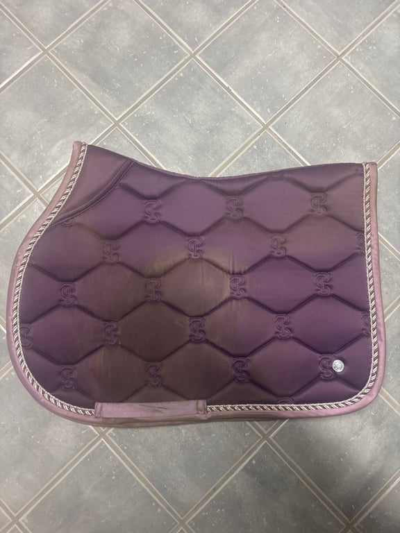 Lila schabrak - bild 1