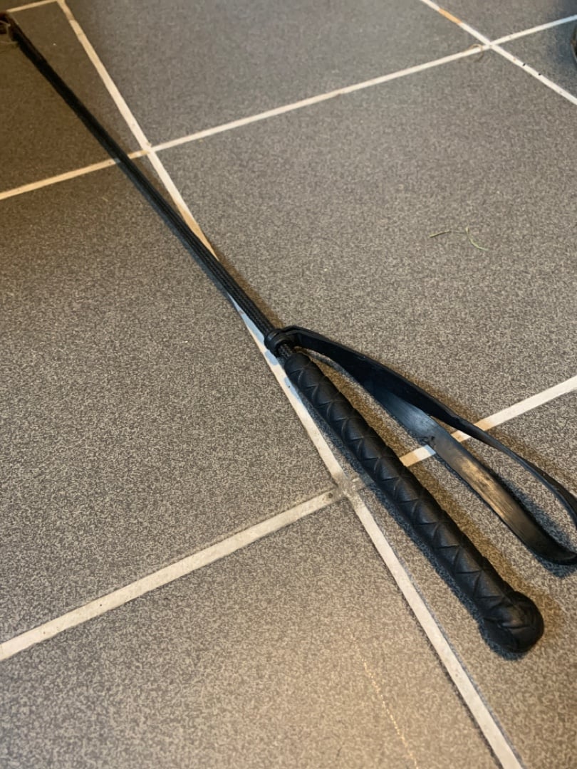 Svart ridpiska - bild 2