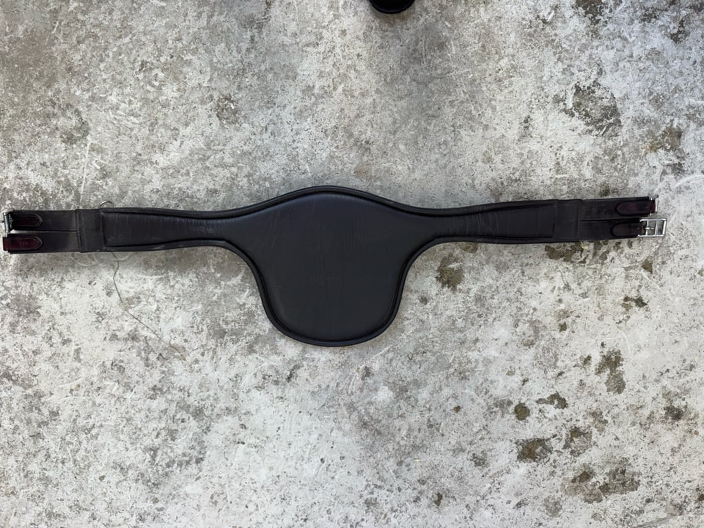 Brun sadelgjord från Equiline - bild 3