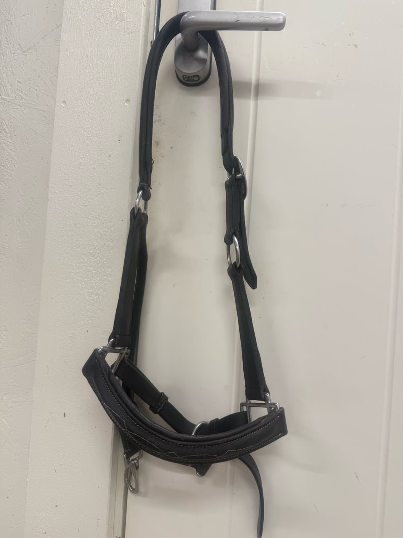 Svart läder grimma med snygga sydda detaljer - bild 1