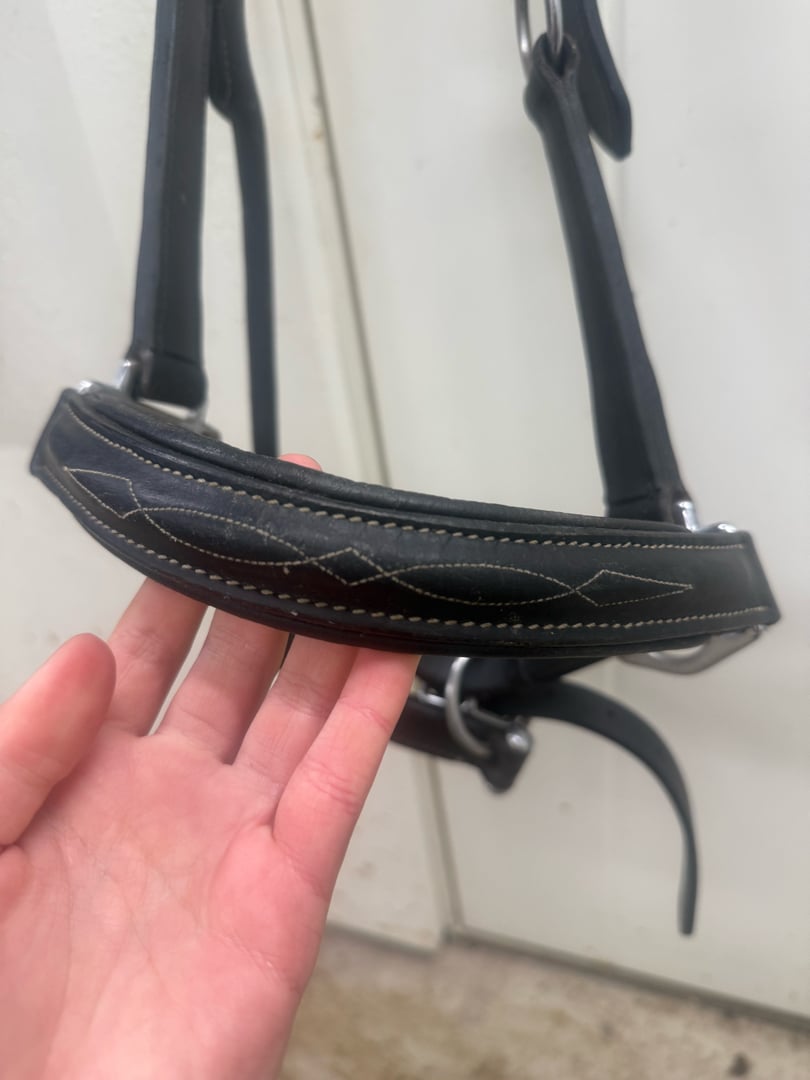 Svart läder grimma med snygga sydda detaljer - bild 2