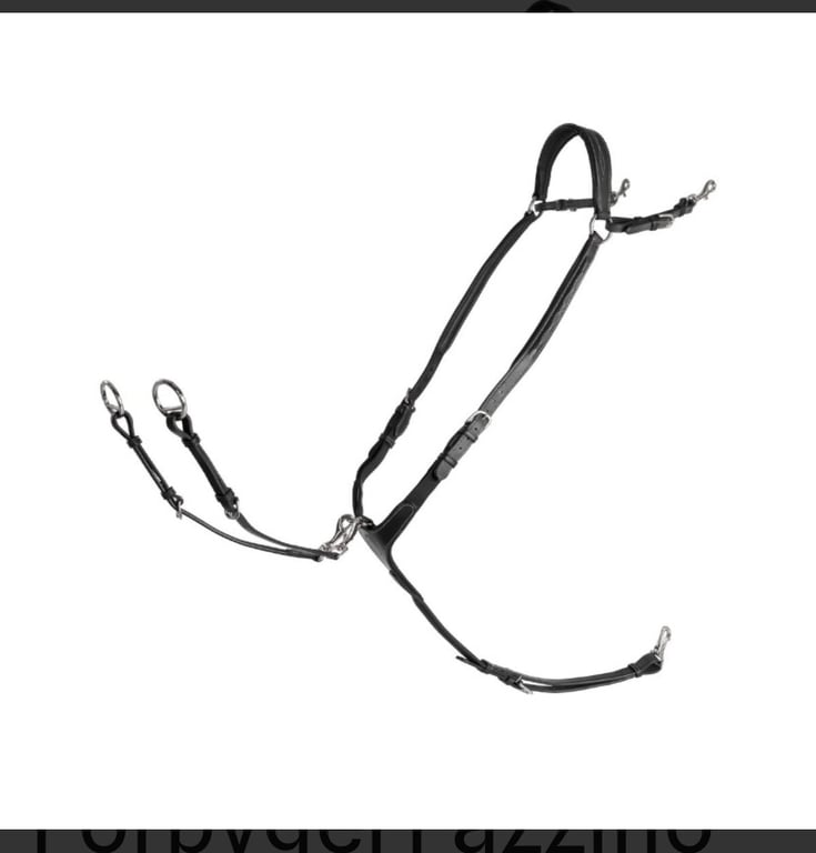 Svart martingal+förbygel från Lippo