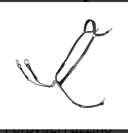 Svart martingal+förbygel från Lippo