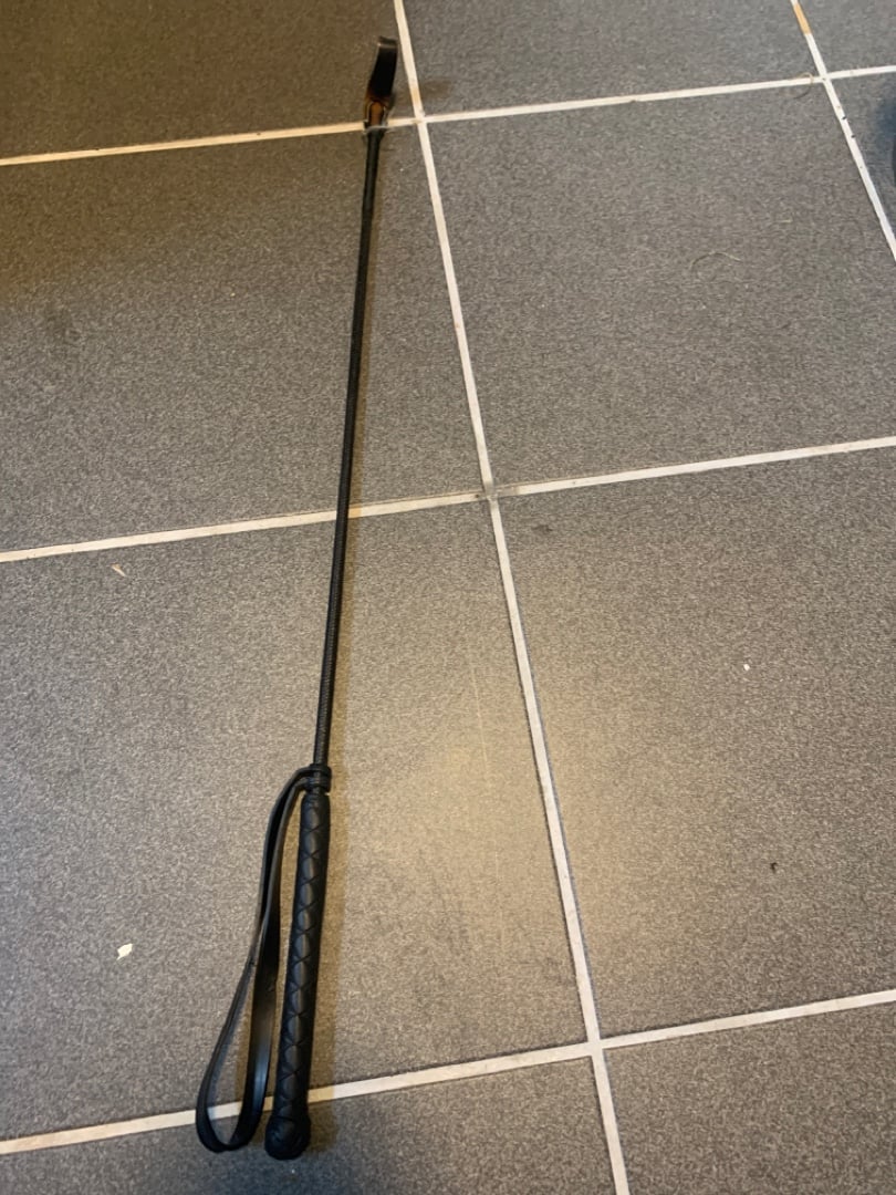 Svart ridpiska - bild 1