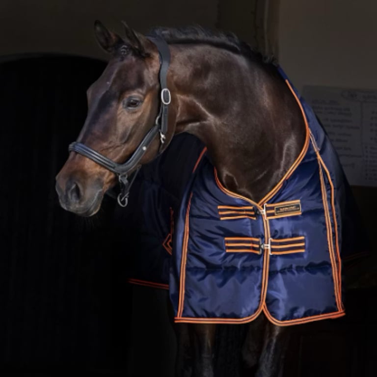 Nytt stalltäcke från hansbo sport pro  - bild 1