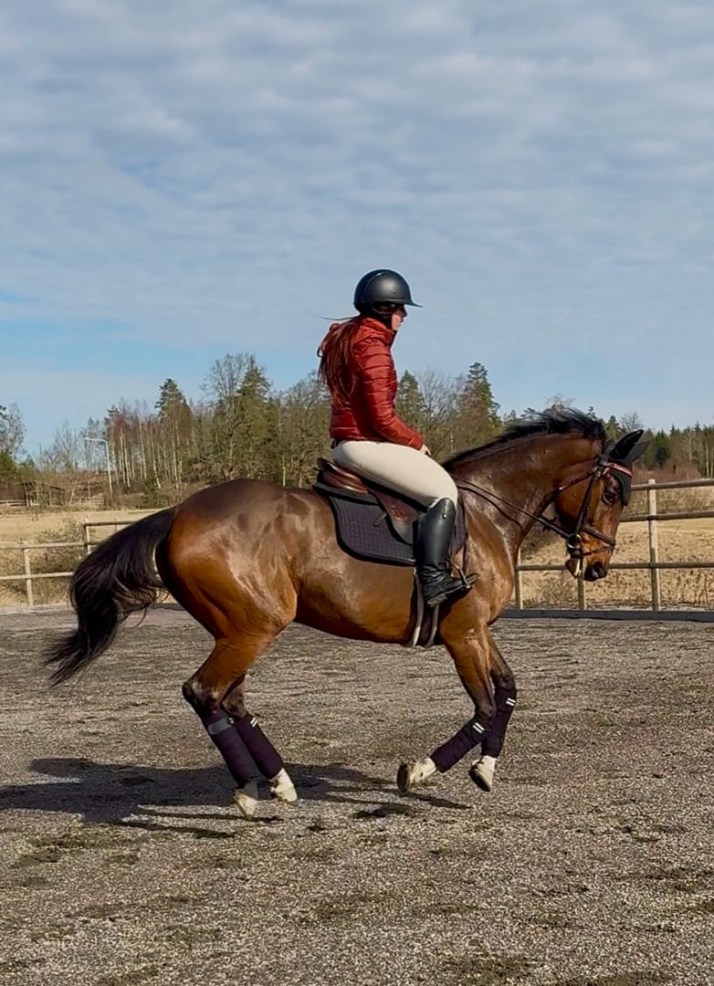 En pigg tjej med mkt blod som älskar att jobba - bild 1